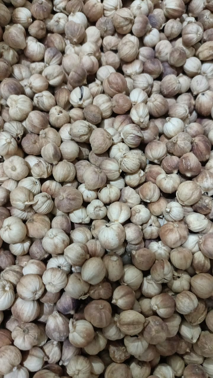 White pepper
