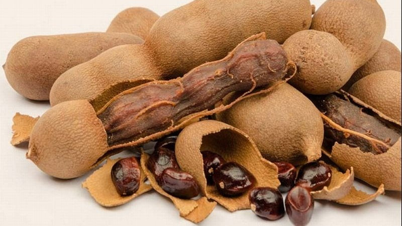 Tamarind seed