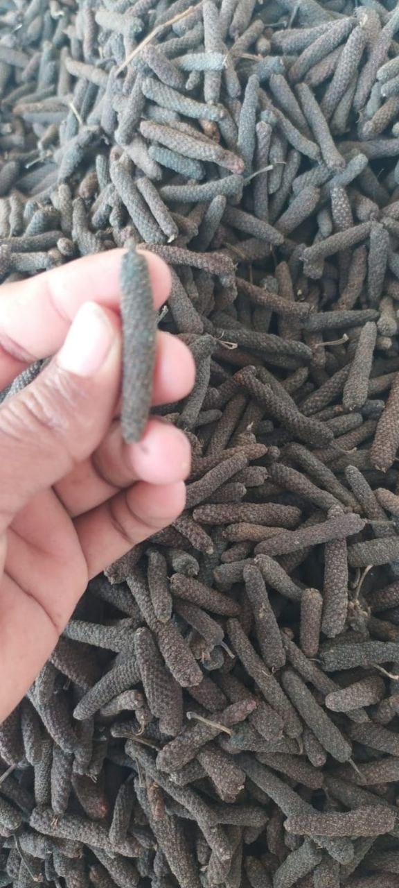 PREMIUM JAVA LONG PEPPER