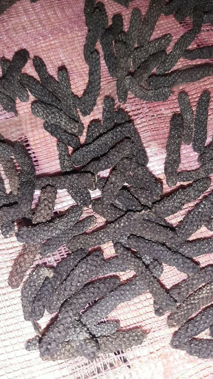 PREMIUM JAVA LONG PEPPER