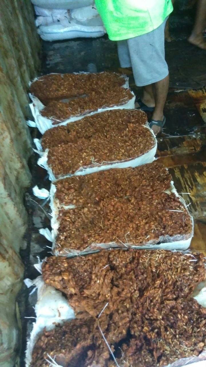TAMARIND