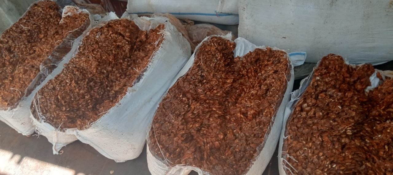 TAMARIND