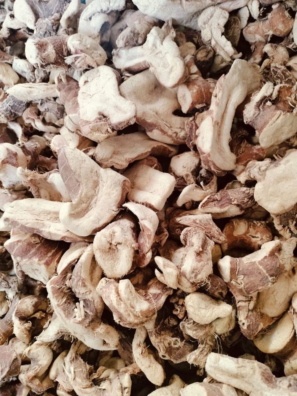 DRIED GALANGAL