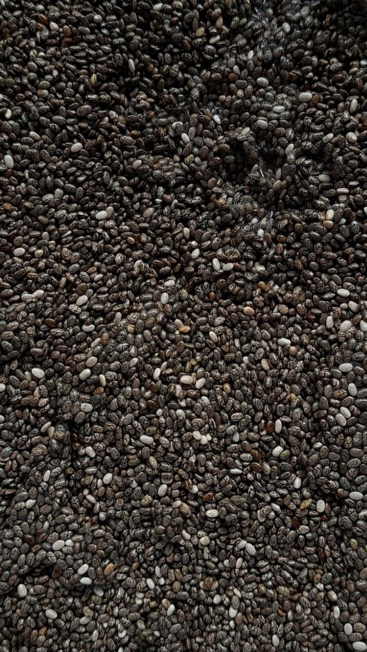 CHIA SEED