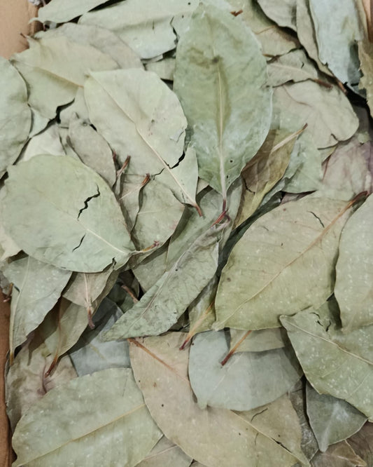 BAY LEAF