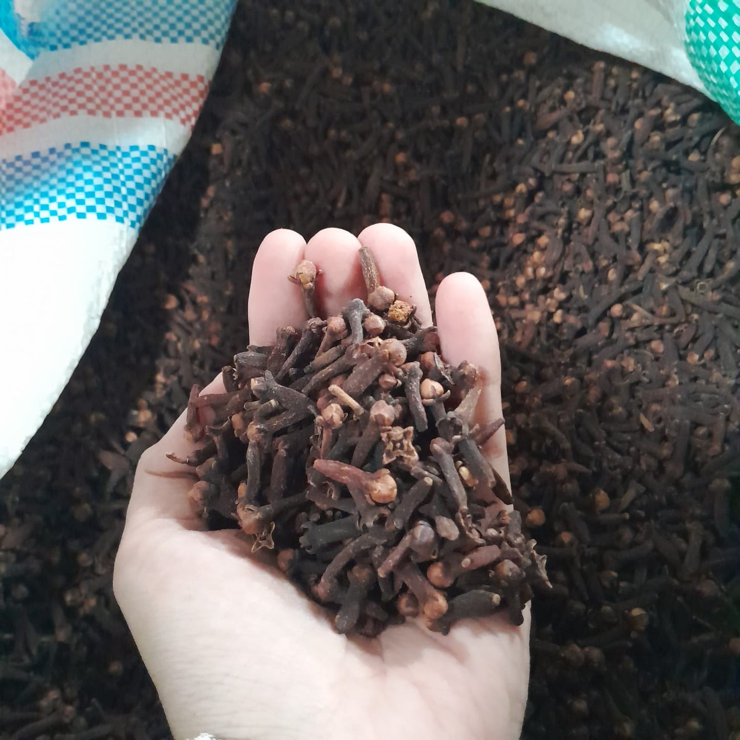 clove