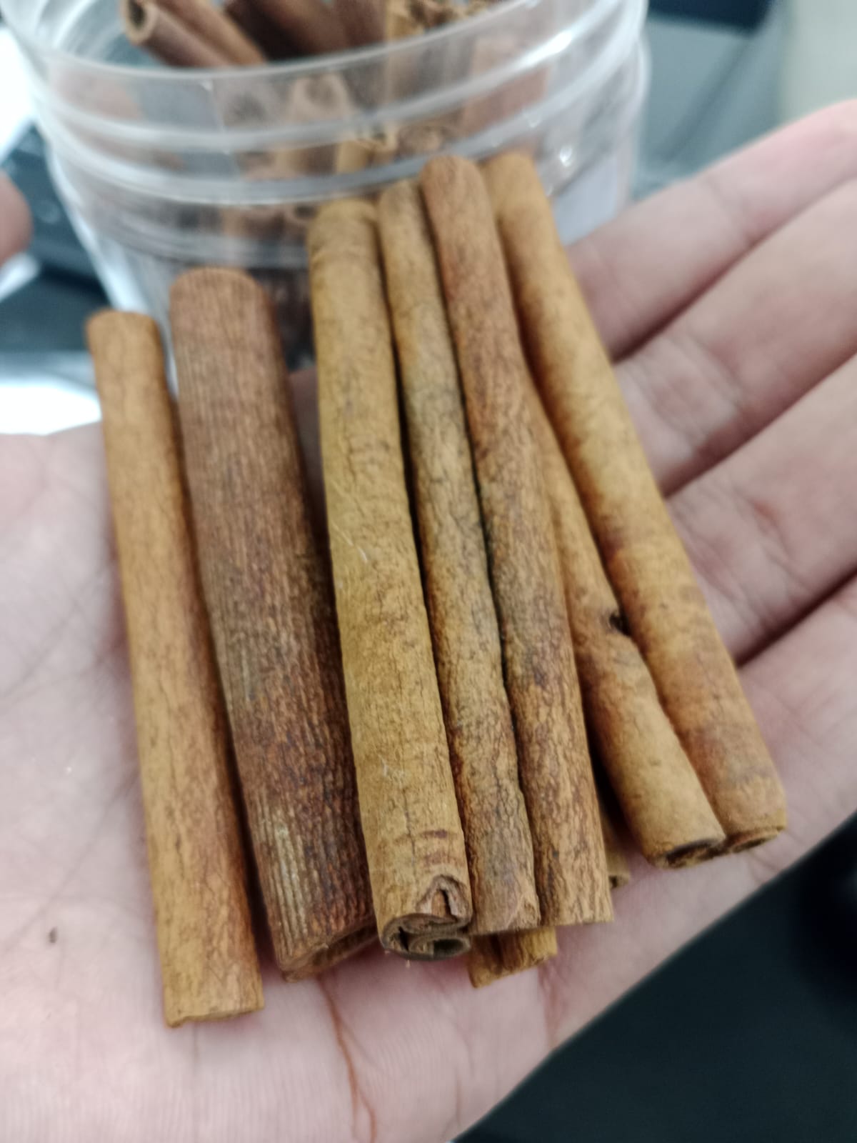 Premium Quality Cinnamon stick 8cm cutting size