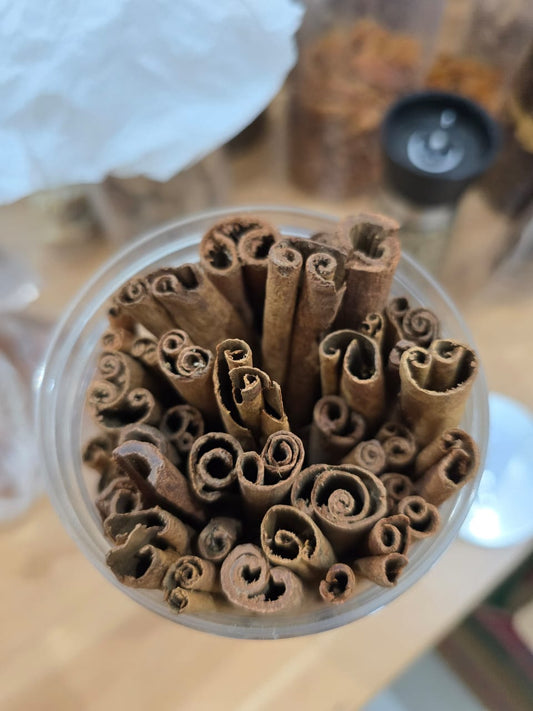 Cinnamon cutting 8 cm