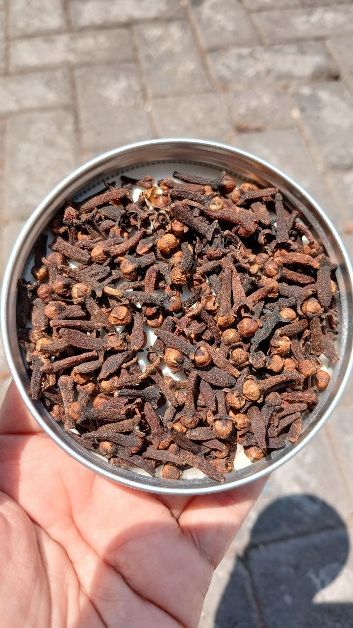 CLOVE