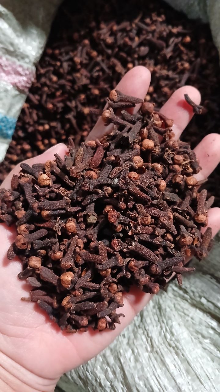 PREMIUM INDONESIAN CLOVE