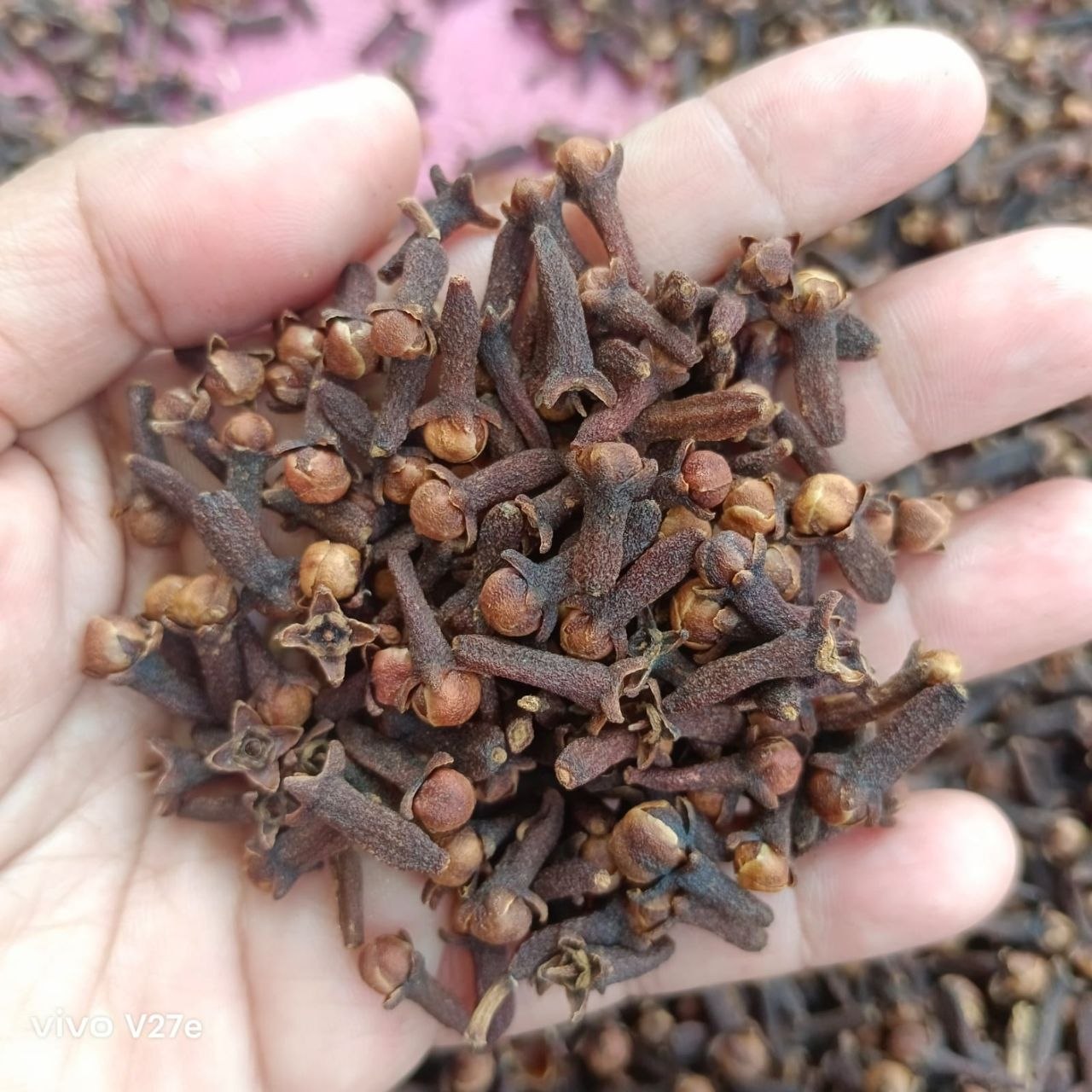 PREMIUM CLOVE