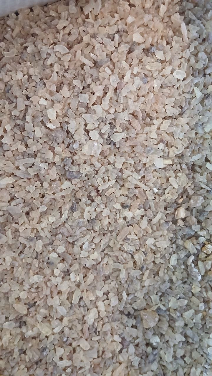 GUM COPAL DBB