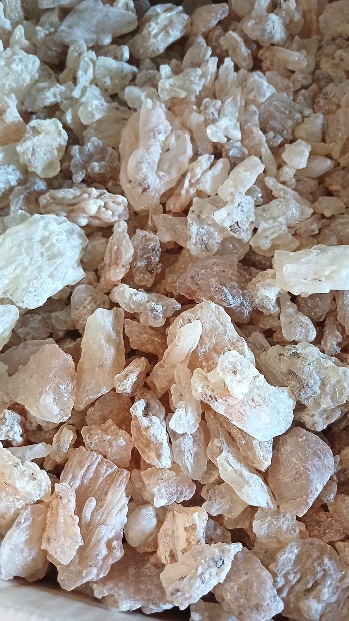 GUM COPAL PWS