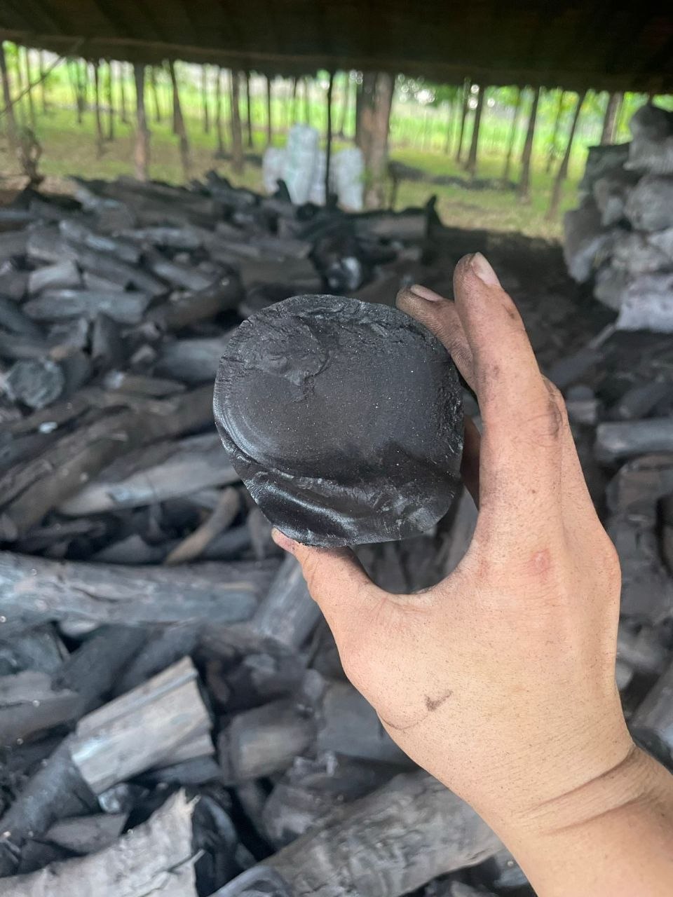 Halaban Charcoal