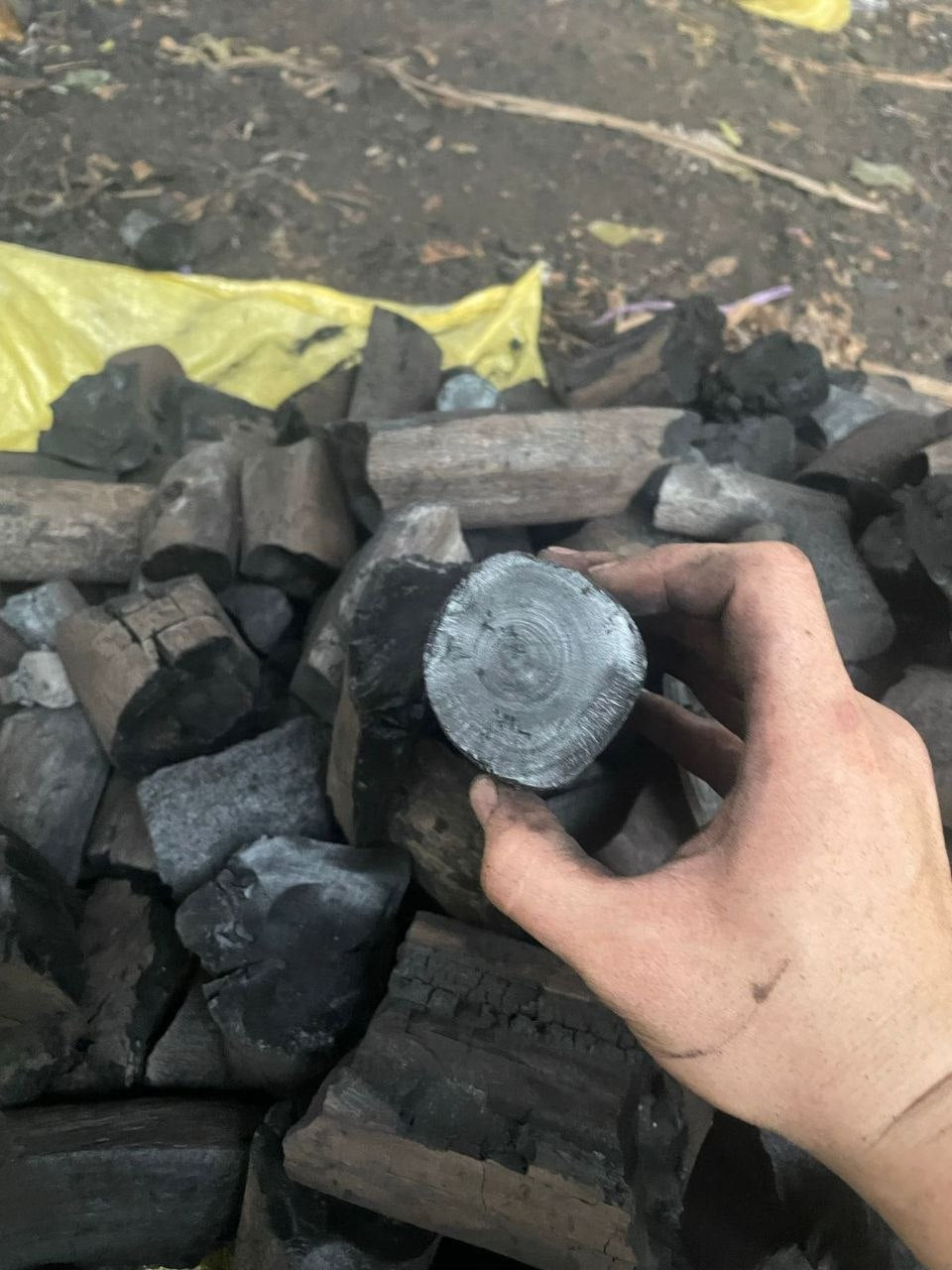 Halaban Charcoal