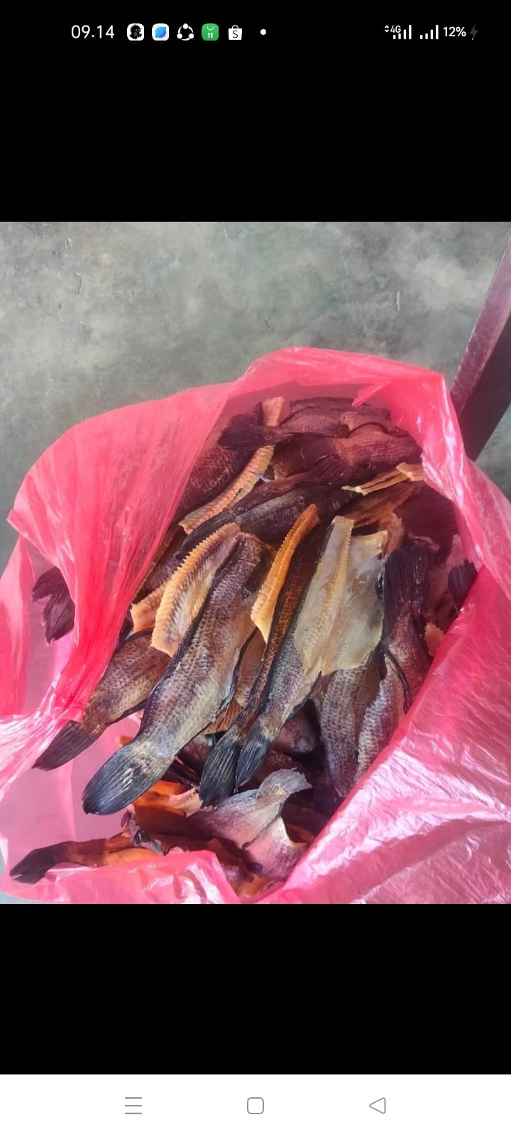 SALTED FISH / IKAN ASIN