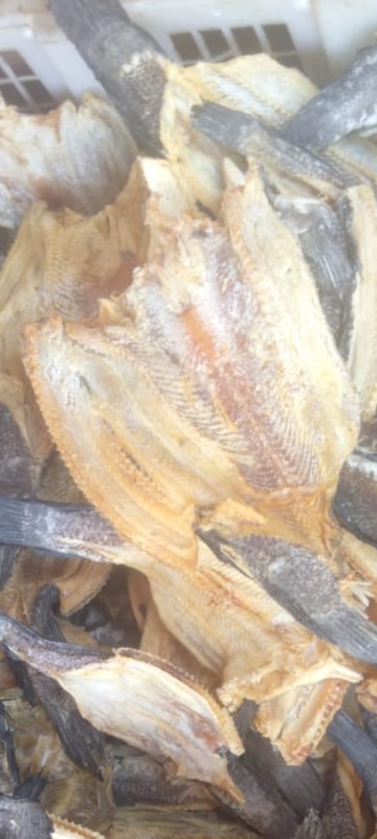 SALTED FISH / IKAN ASIN