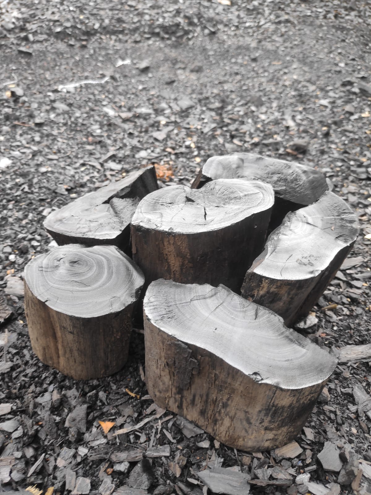 Halaban Wood Charcoal