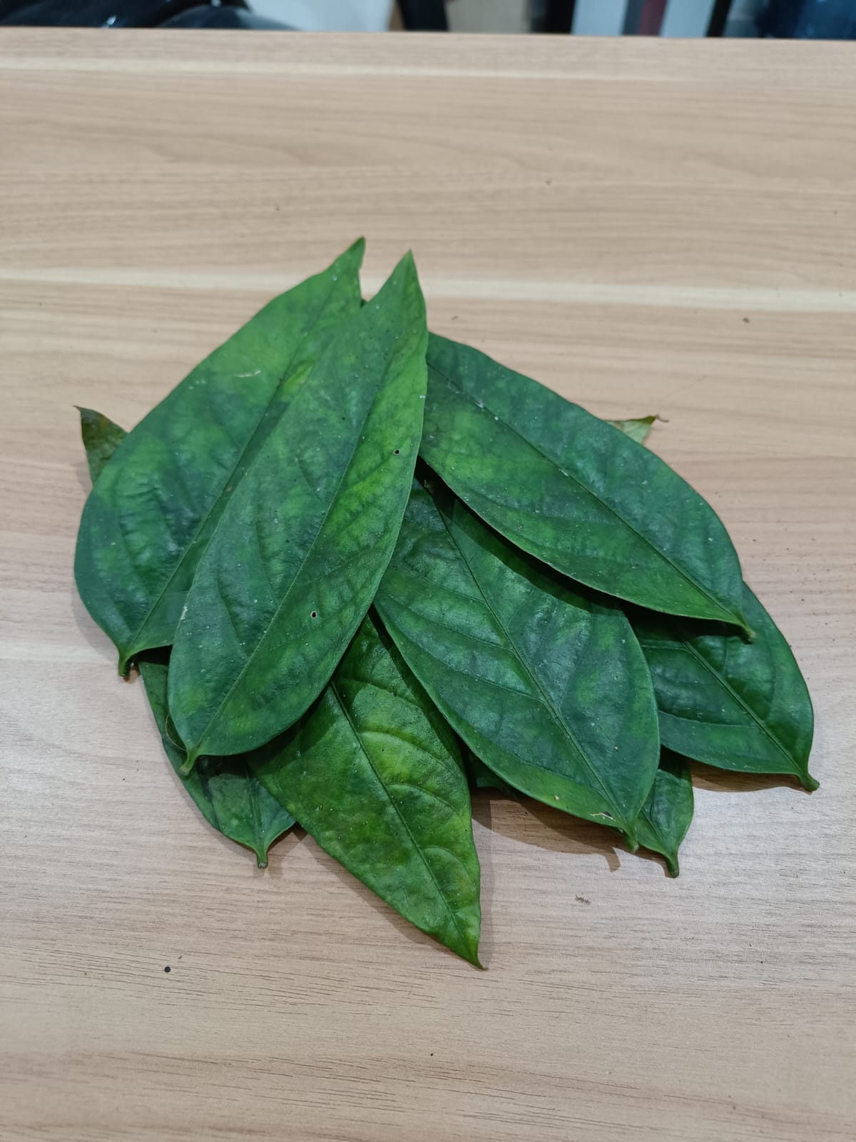 Sengkubak Leaves