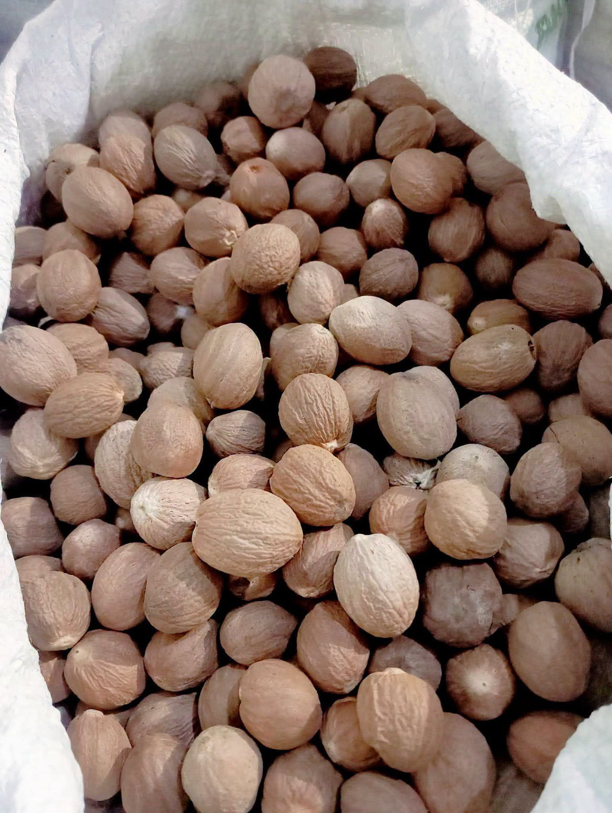 NUTMEG AB ROUND