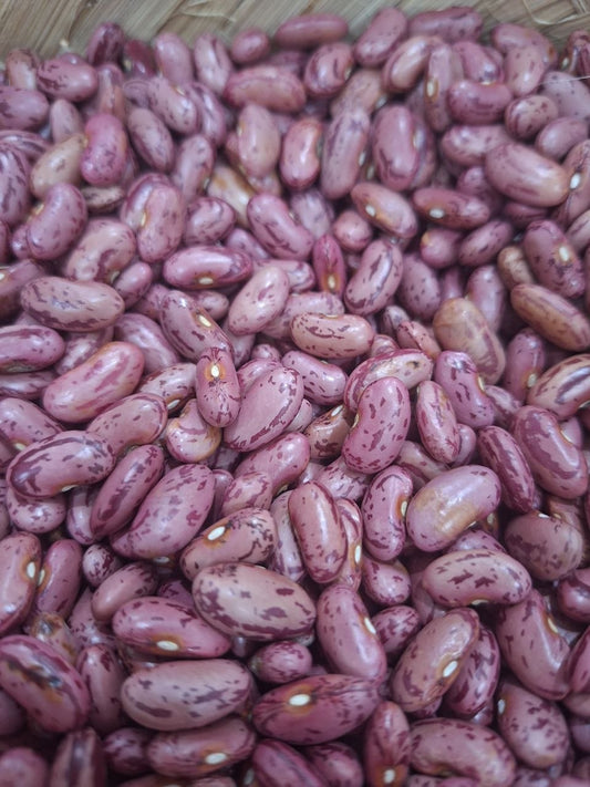 RED BEAN