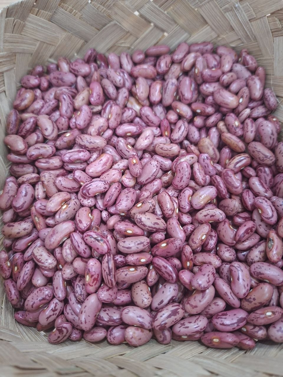 PREMIUM RED BEAN