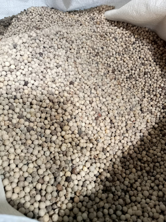 White pepper
