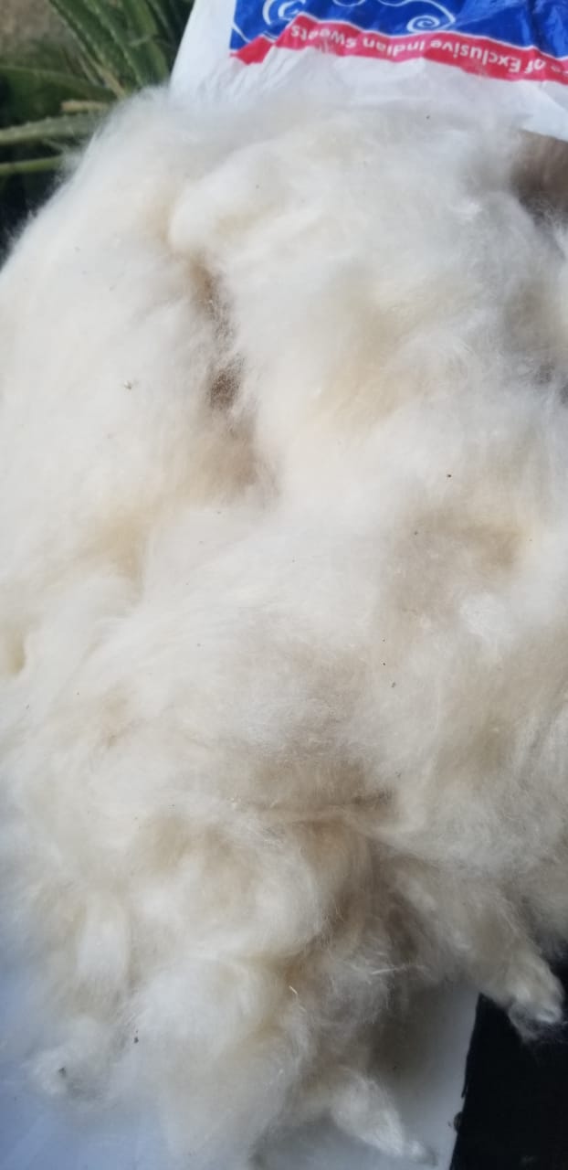 Raw Cotton