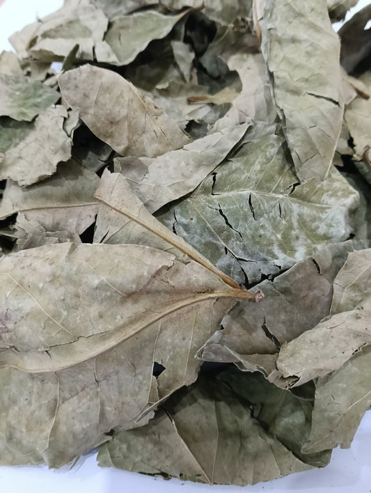 Bayleaf