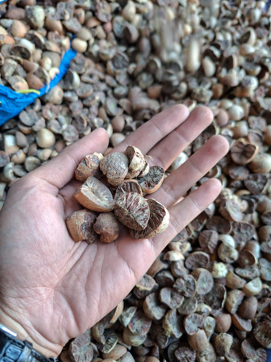Betel Nut Split 70% Good