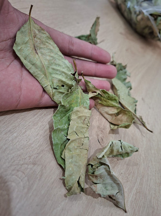 Bay leaves