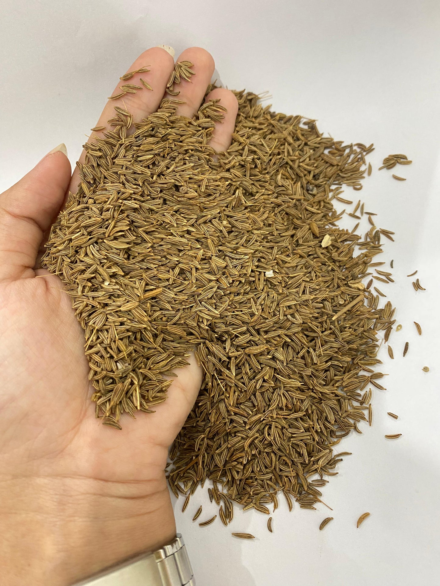 Cumin seed