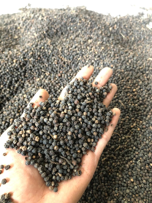 Black Pepper