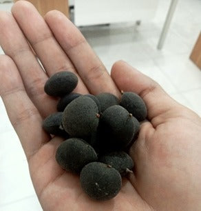 Velvet Tamarind