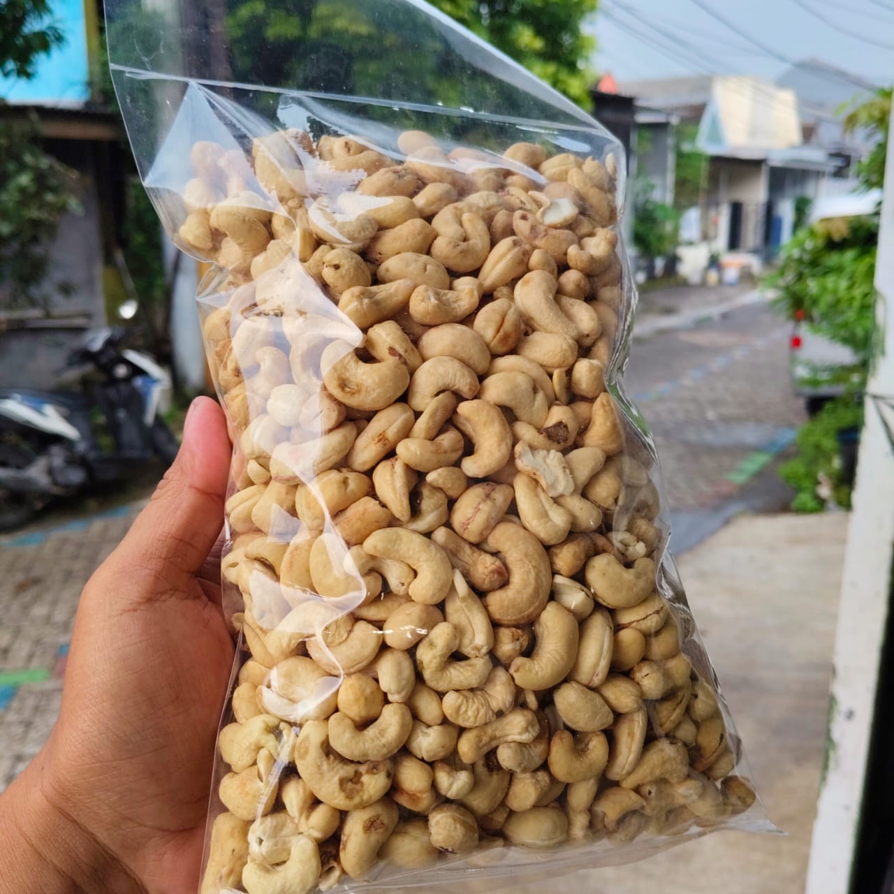 Cashew Nut