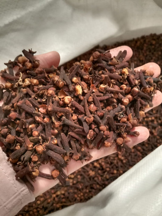 Clove