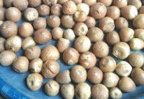 Roasted Whole Betel Nut