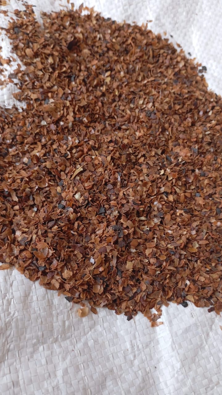 Clove Broken Head Husk