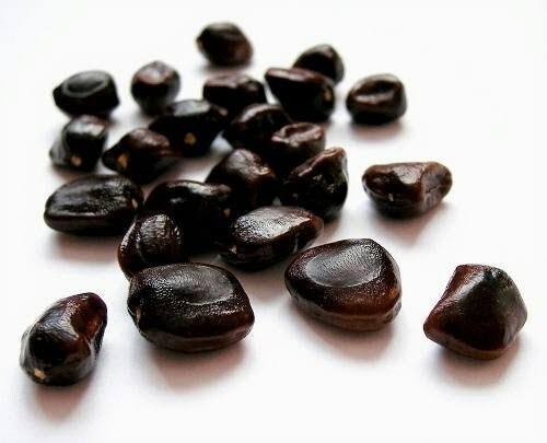 biji asam jawa