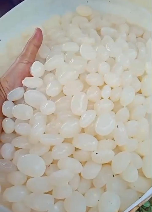 kolang kaling