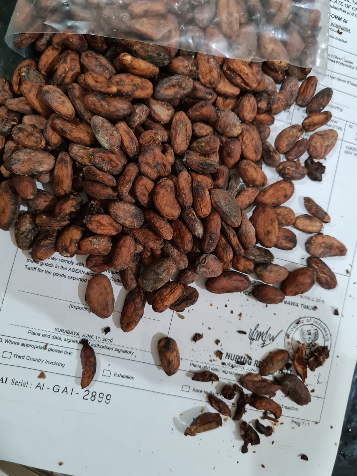 COCOA BEAN