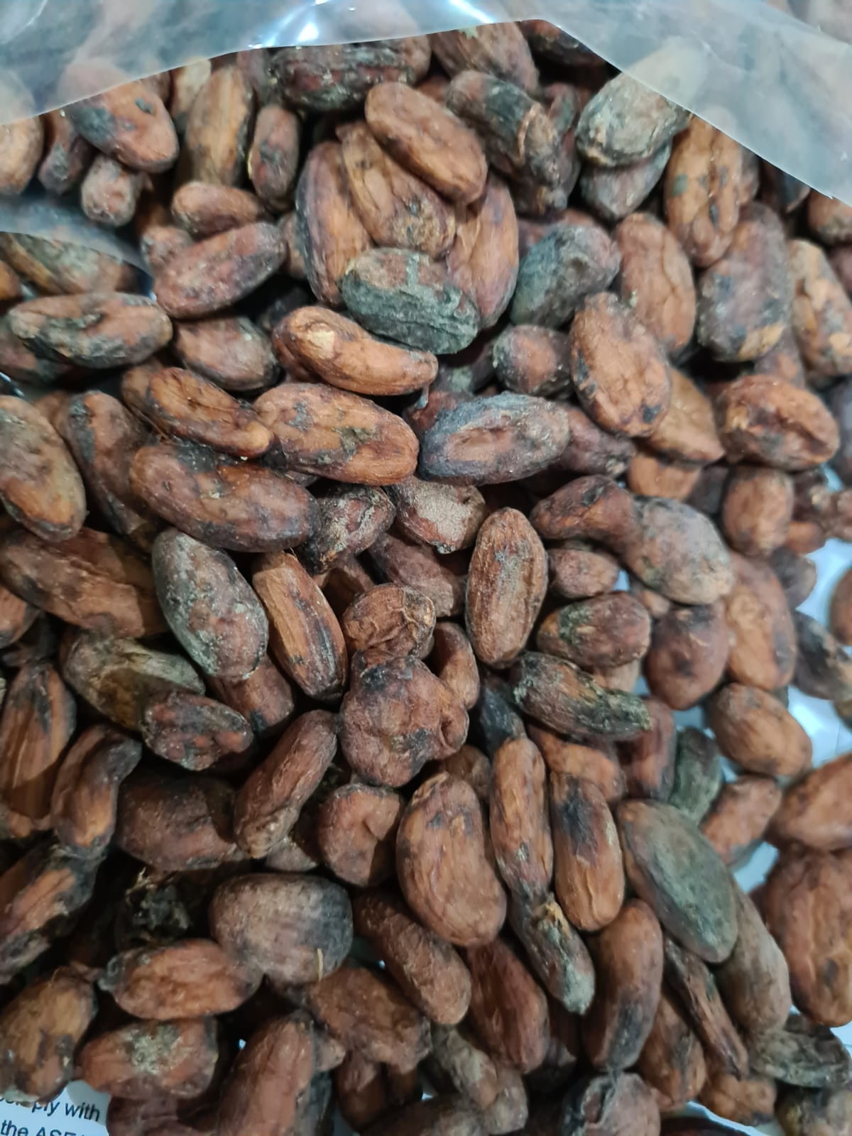 COCOA BEAN