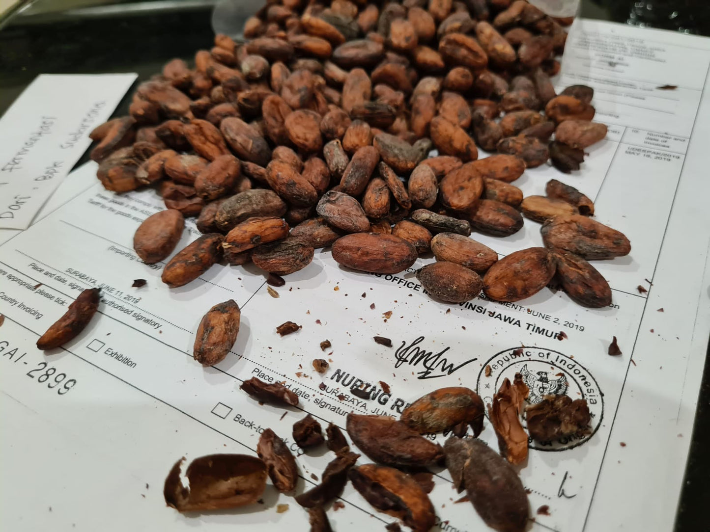 COCOA BEAN