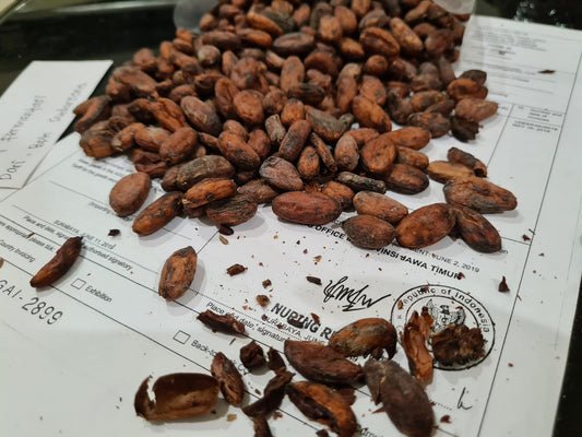 COCOA BEAN