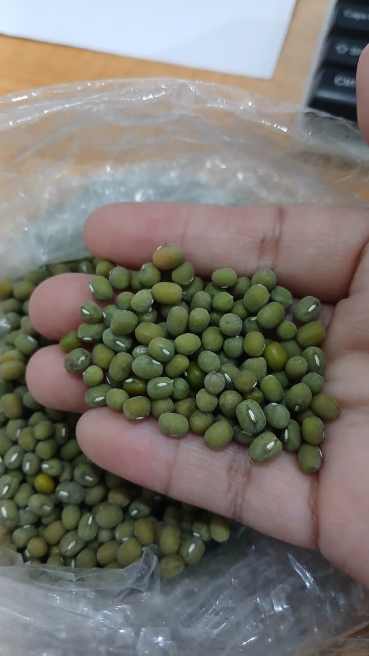 GREEN MUNG BEAN