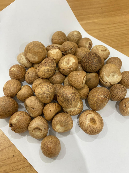 Betel Nut High Quality