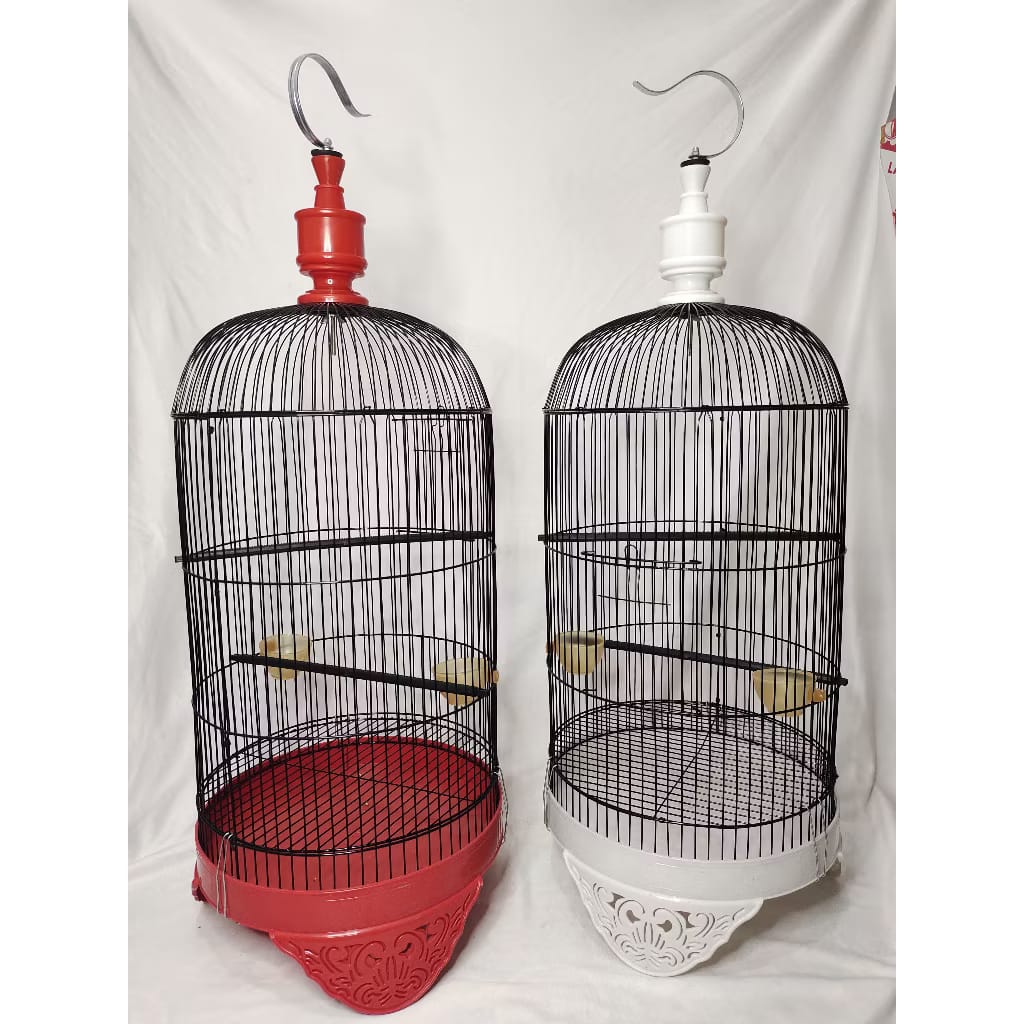 Iron Frame Bird Cage