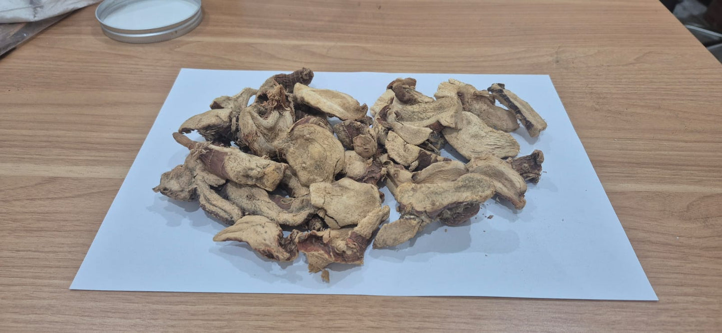 GALANGAL / LENGKUAS KERING