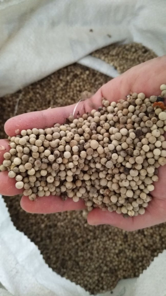 Whitepepper