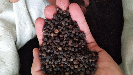 BLACK PEPPER